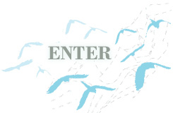 Enter